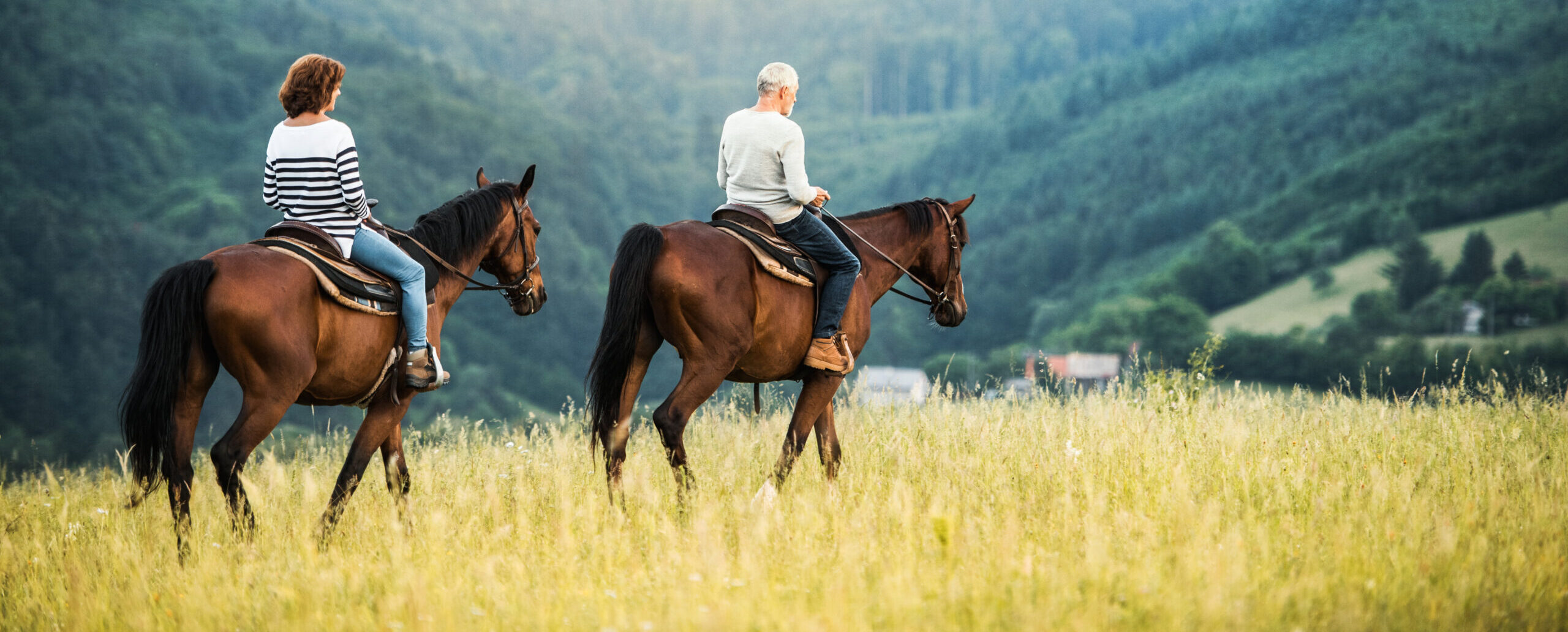 Holland Capital Management | Demystifying the Role: What Is a Fiduciary Financial Advisor Holland Capital Management | Demystifying the Role: What Is a Fiduciary Financial Advisor
