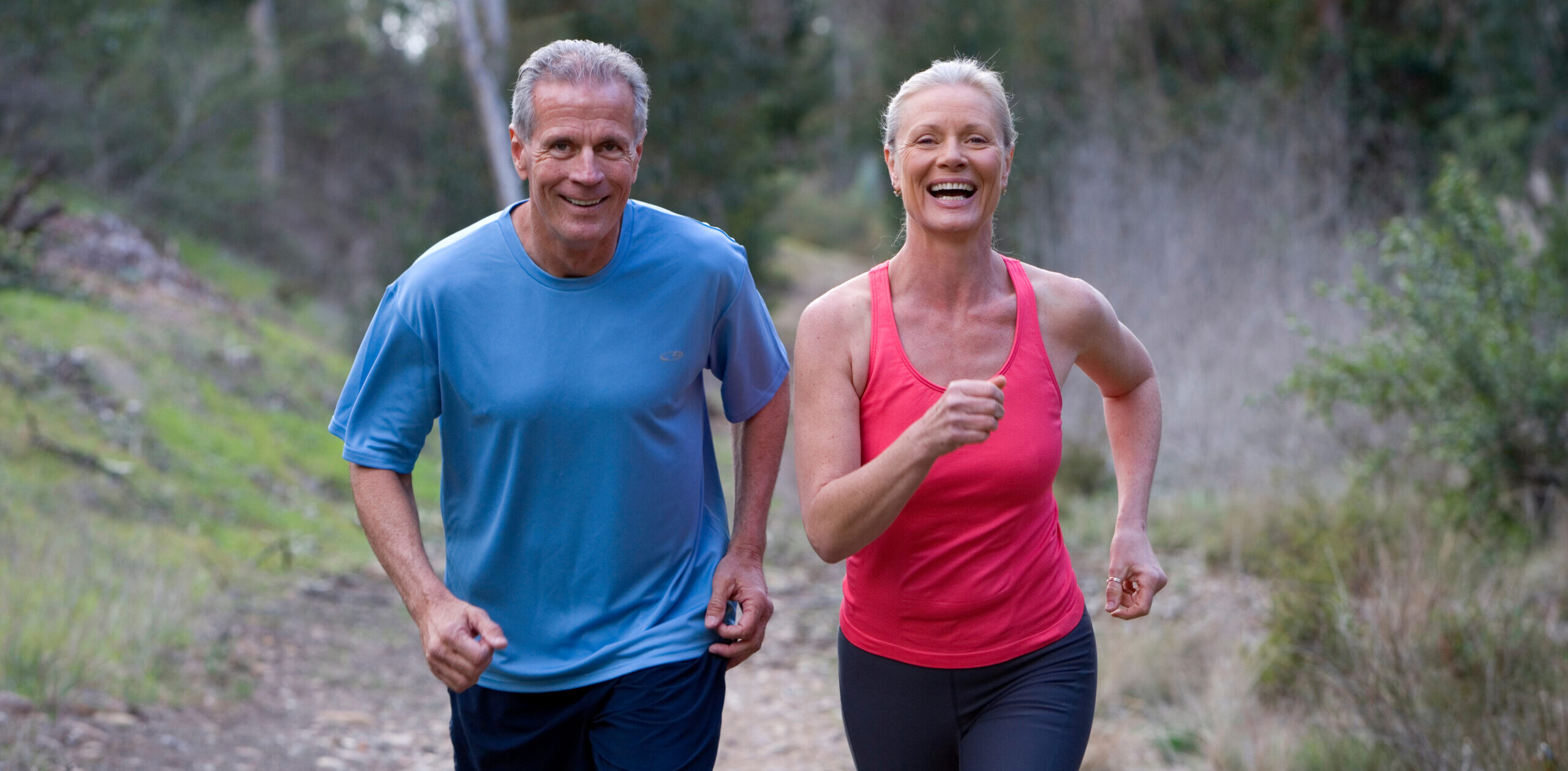 Holland Capital Management | Expert Services: Top Retirement Plan Consultants Near Me Holland Capital Management | Expert Services: Top Retirement Plan Consultants Near Me