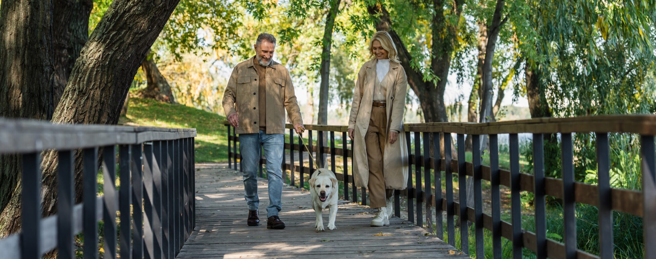 Holland Capital Management | Find the Best Financial Consultants Near Me Holland Capital Management | Find the Best Financial Consultants Near Me